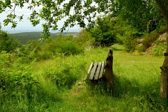 属的慰问 属的慰问