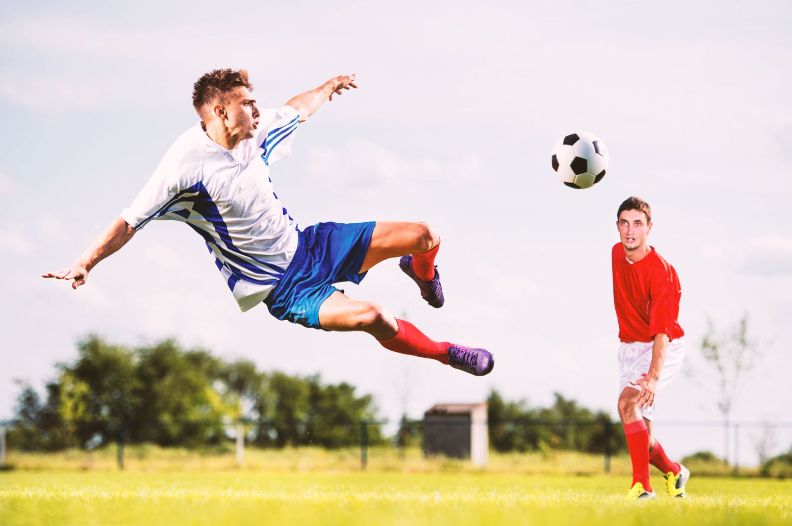 的贡献才是 的贡献才是