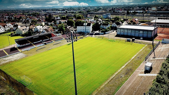 佳主教練弗 佳主教練弗