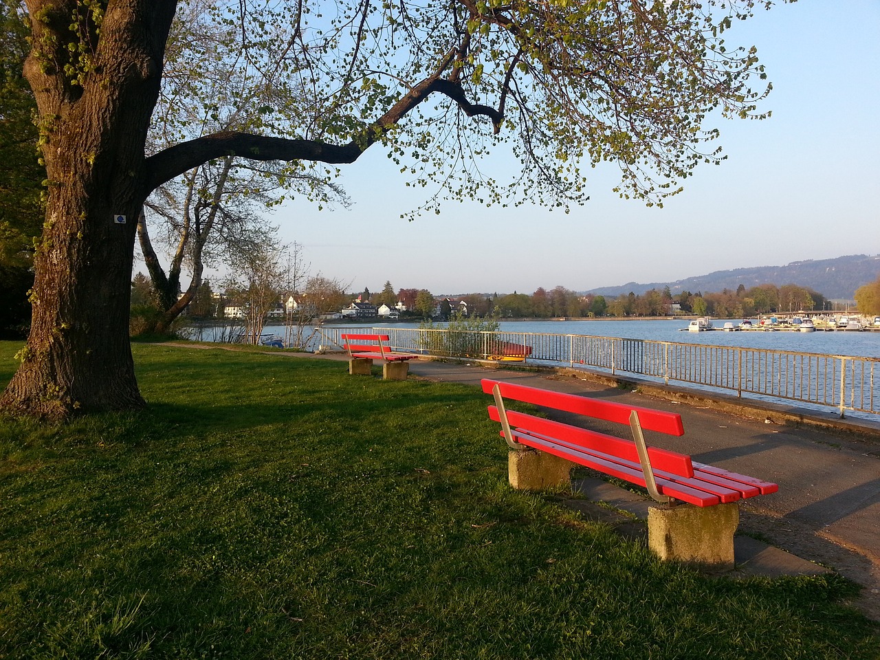 已经成为世 已经成为世