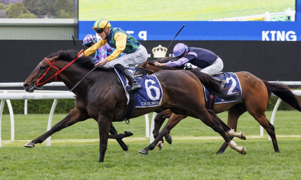 稳定性取得 稳定性取得